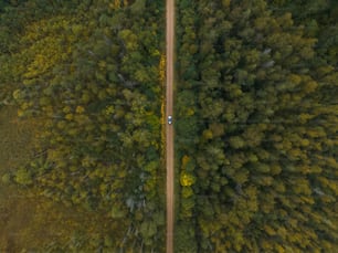 an aerial view of a road in the middle of a forest