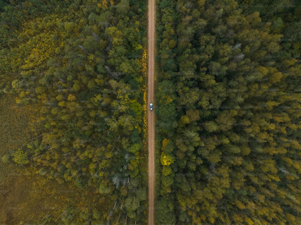 an aerial view of a road in the middle of a forest