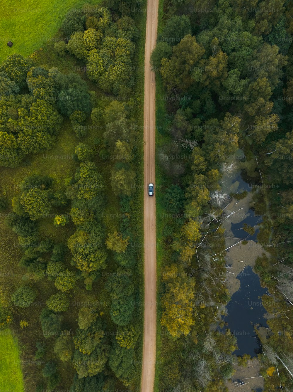 an aerial view of a road in the middle of a forest