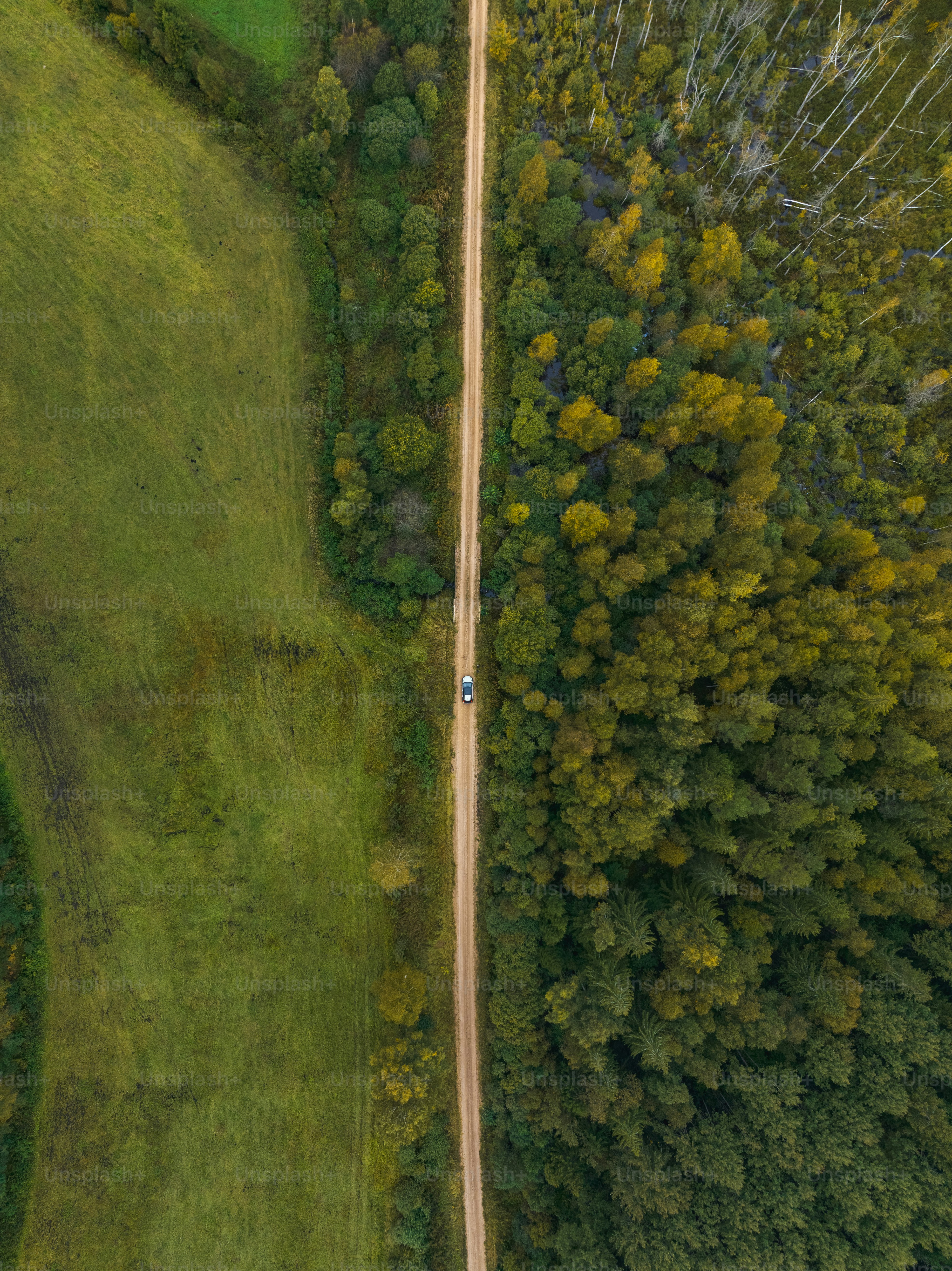an aerial view of a road in the middle of a forest