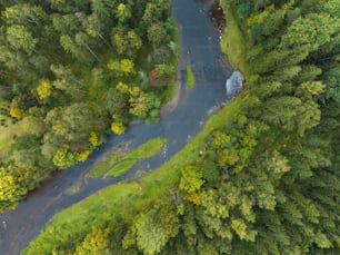 a river running through a lush green forest