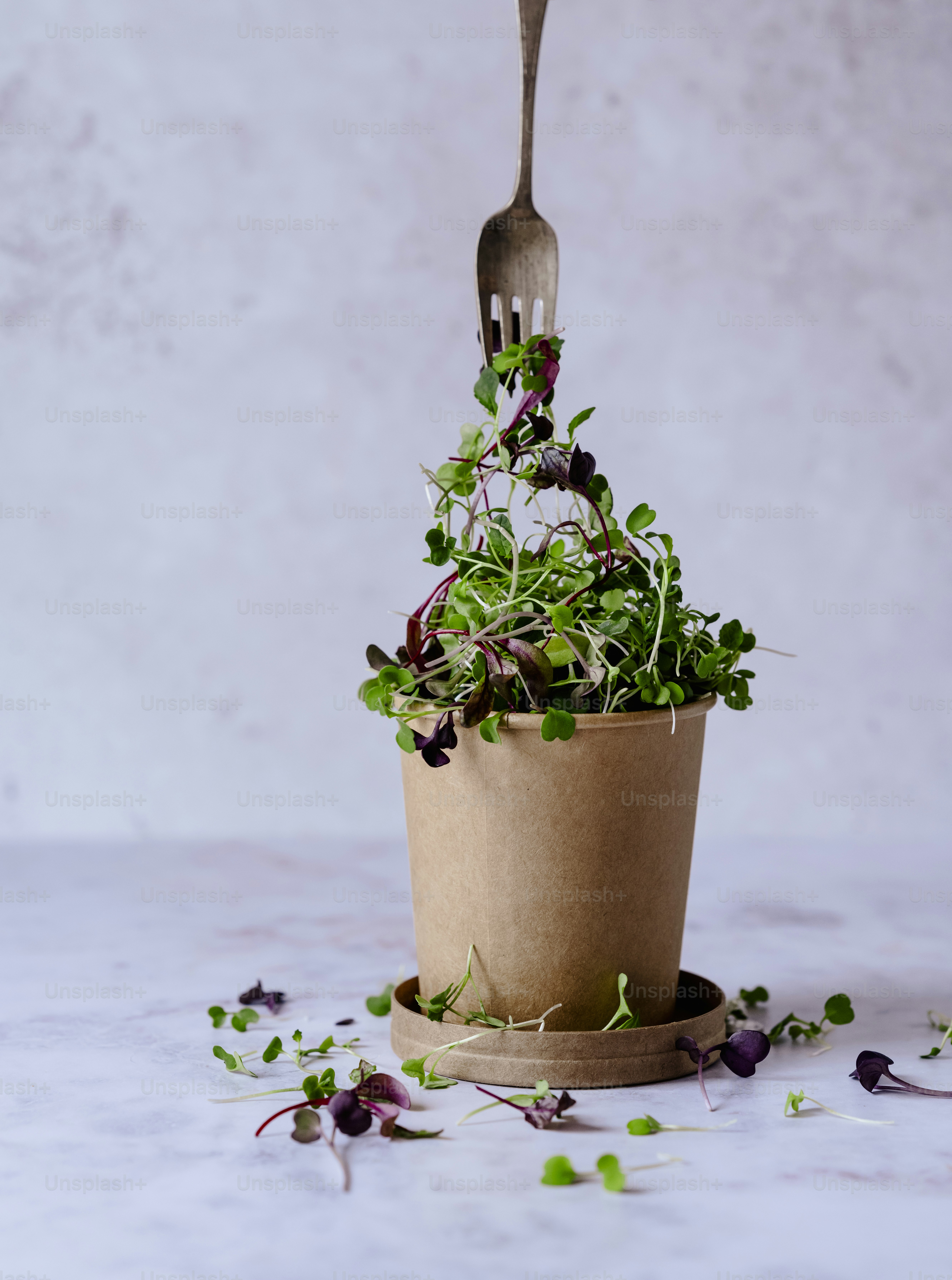 a fork sticking out of a potted plant