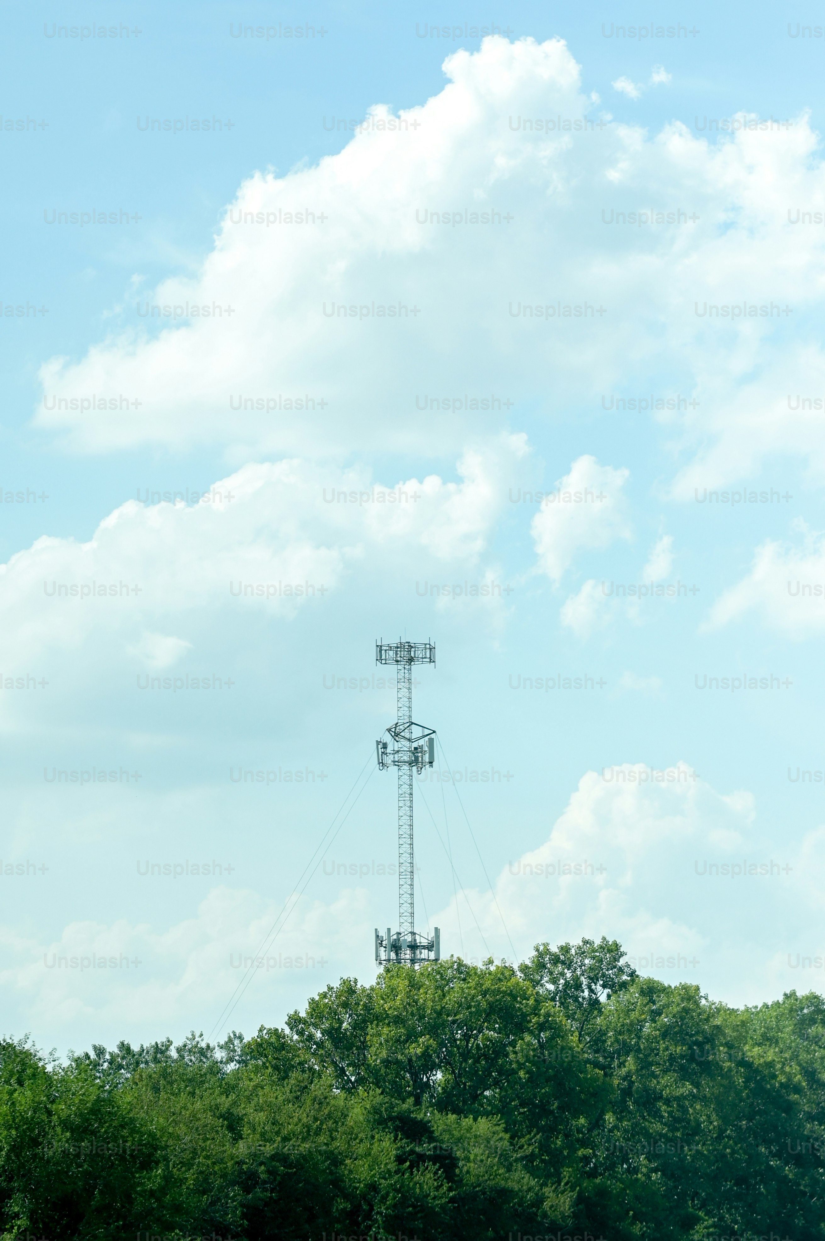 Ein hoher Turm, der über einem üppig grünen Wald thront
