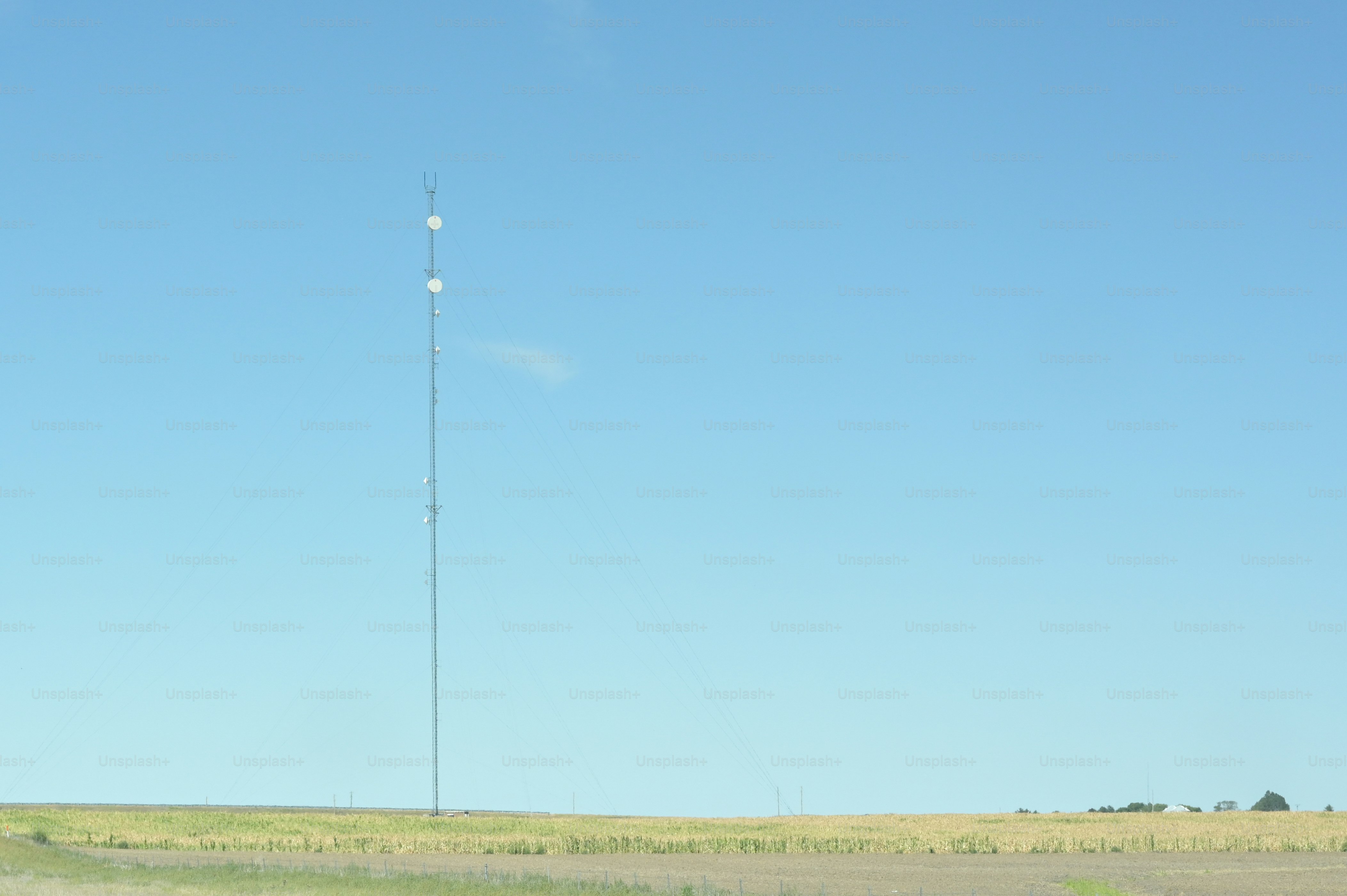 a cell phone tower in the middle of a field