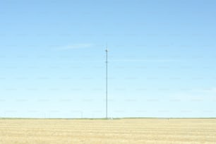 Un gran campo con una torre de radio en la distancia