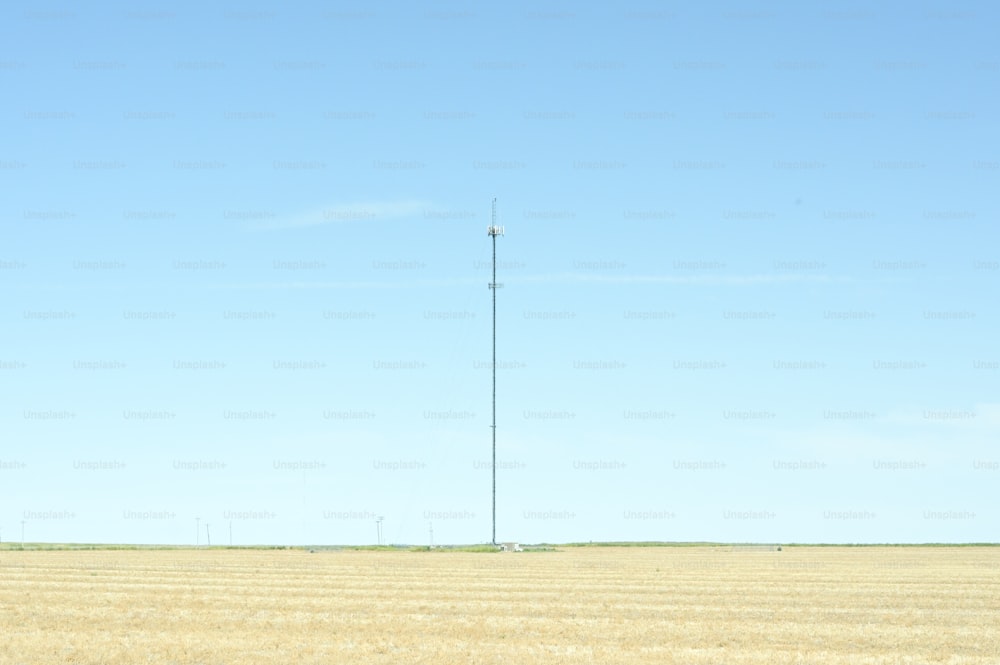 Un gran campo con una torre de radio en la distancia