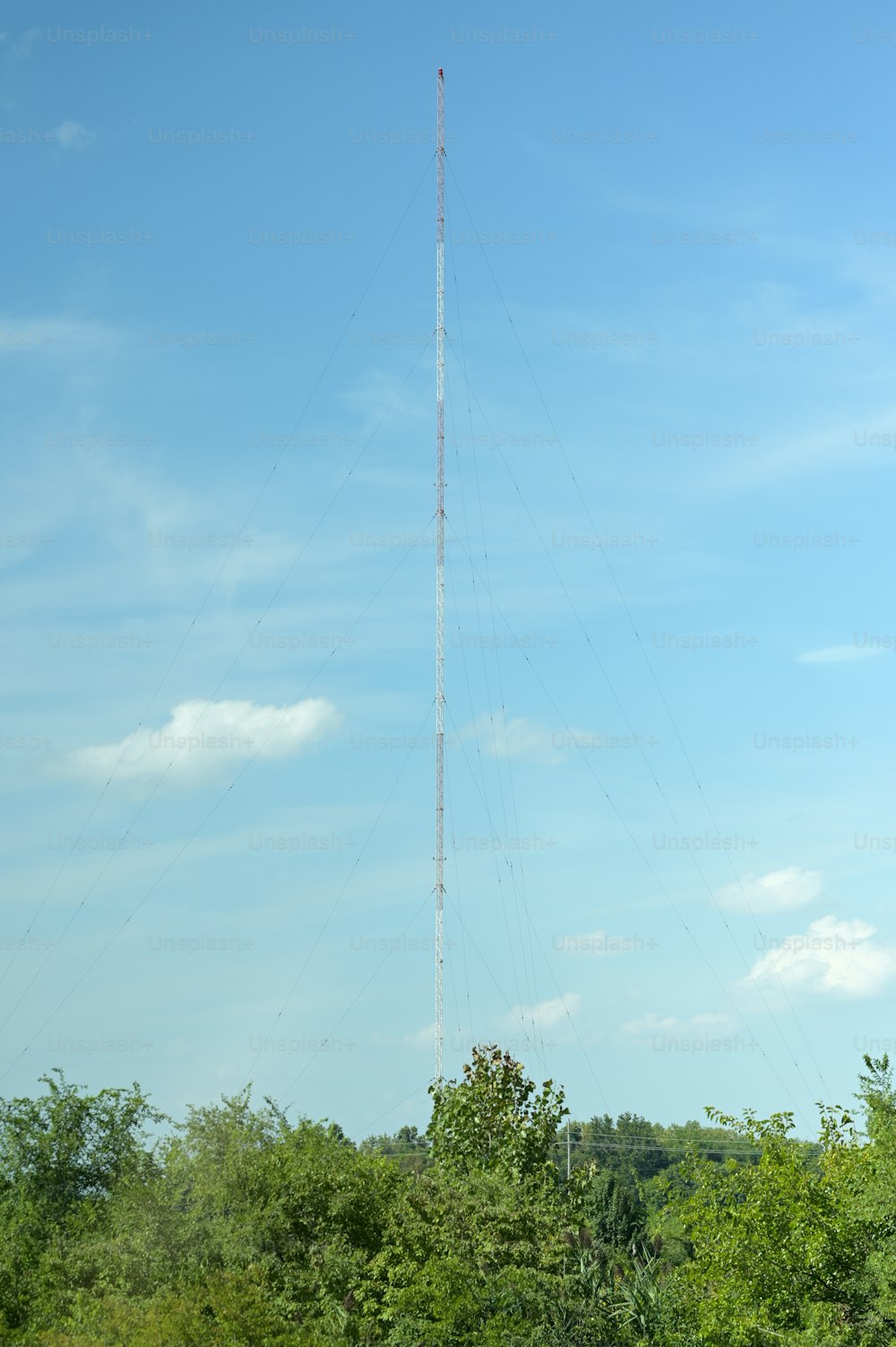 a very tall antenna in the middle of some trees