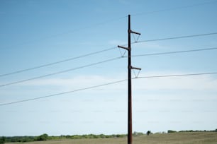 a telephone pole in the middle of a field