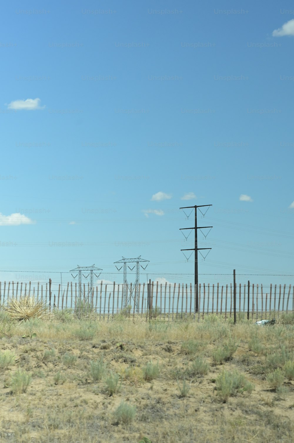 a horse standing in a field next to a fence