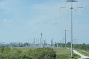 Ein Zug, der neben einem üppig grünen Feld auf den Gleisen fährt