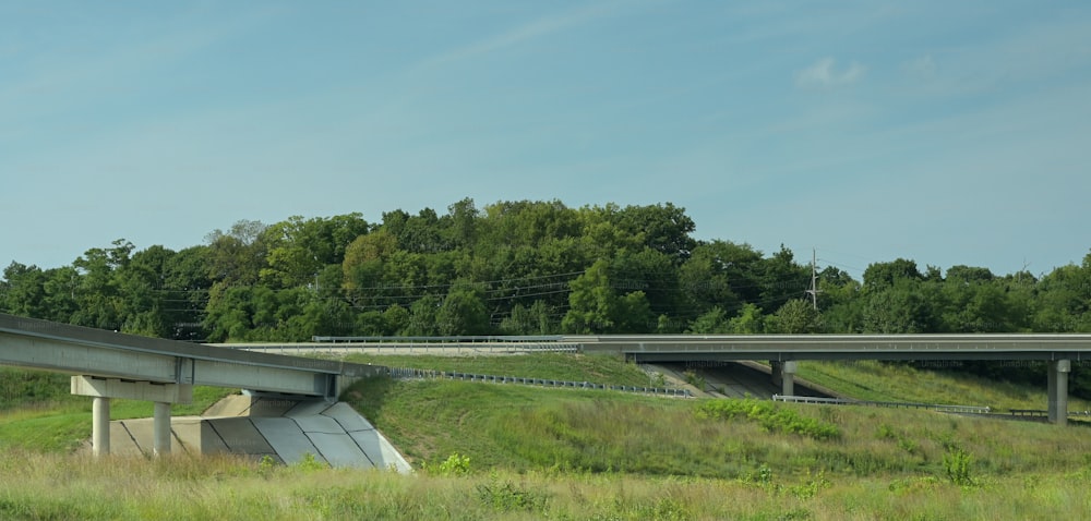 un pont routier au-dessus d’un champ herbeux avec des arbres en arrière-plan