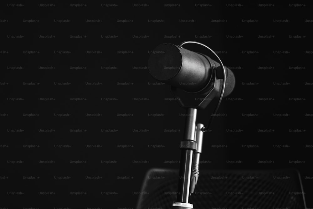 a black and white photo of a microphone