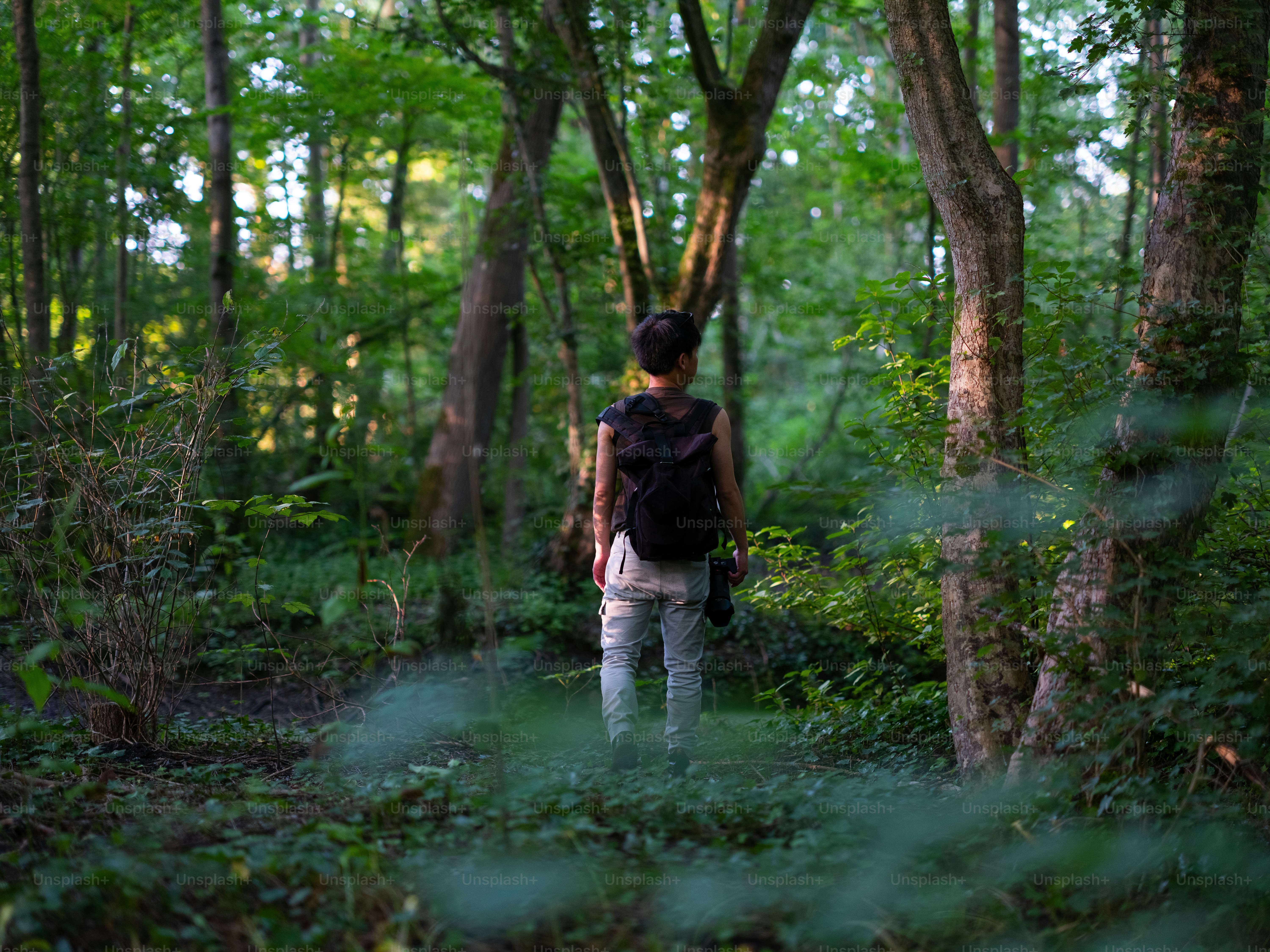 um homem com uma mochila caminhando por uma floresta