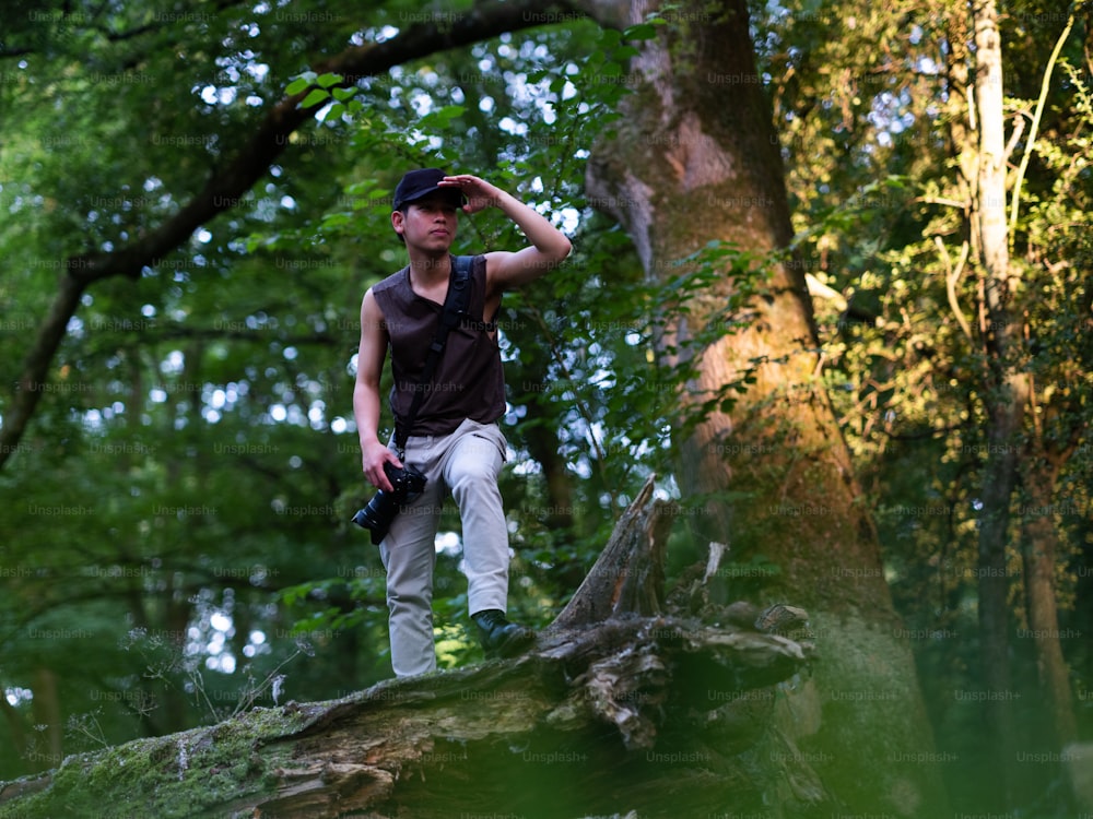 a man standing on top of a tree trunk
