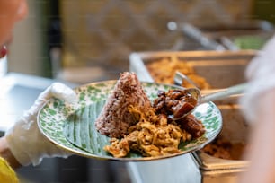 a person holding a plate with food on it