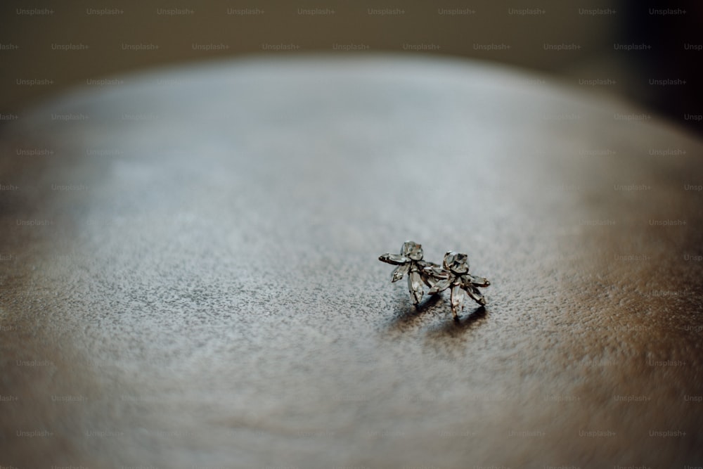 a tiny insect sitting on top of a table