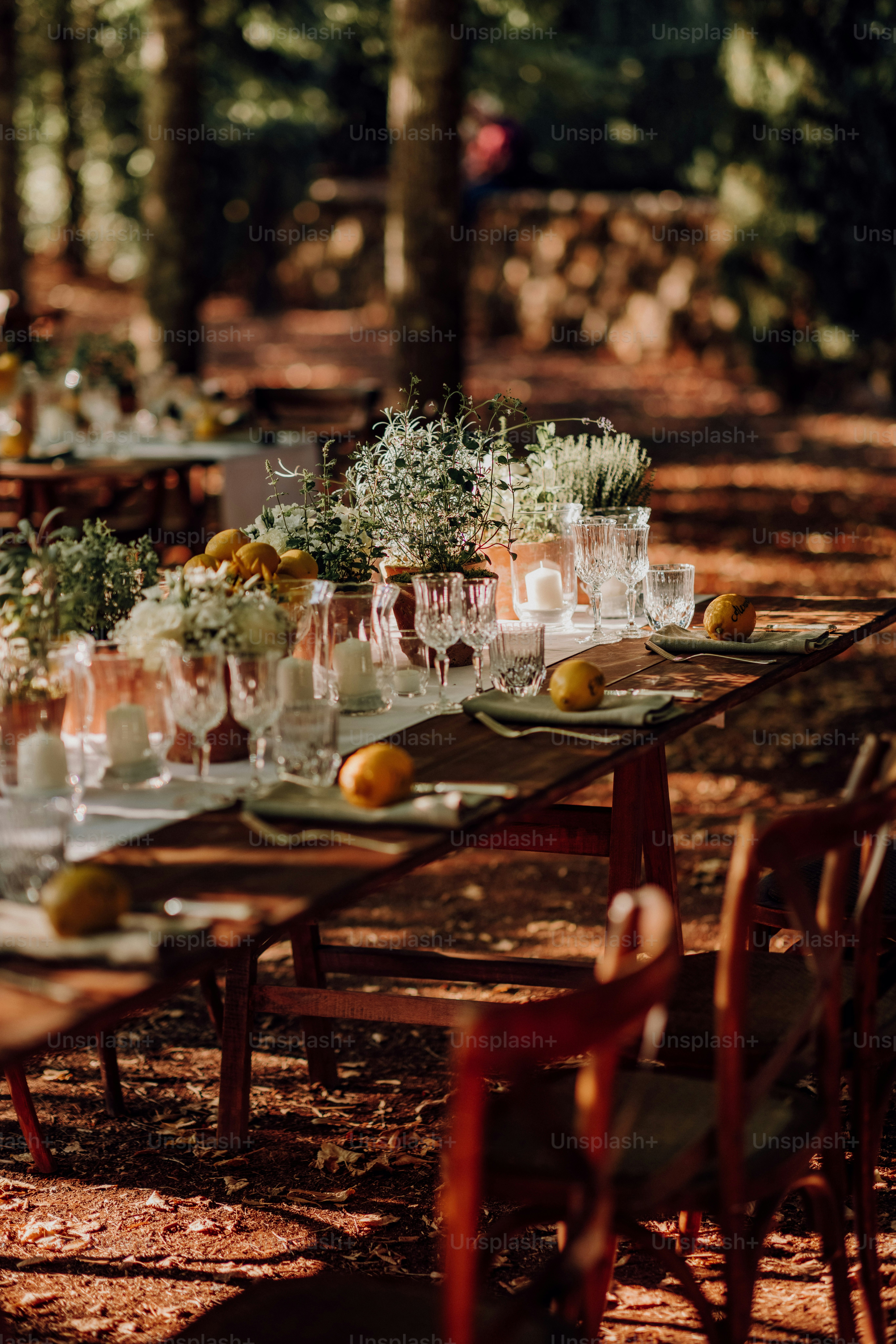 Imágenes de Boda De Otoño | Descarga imágenes gratuitas en Unsplash, image size:3000x4498