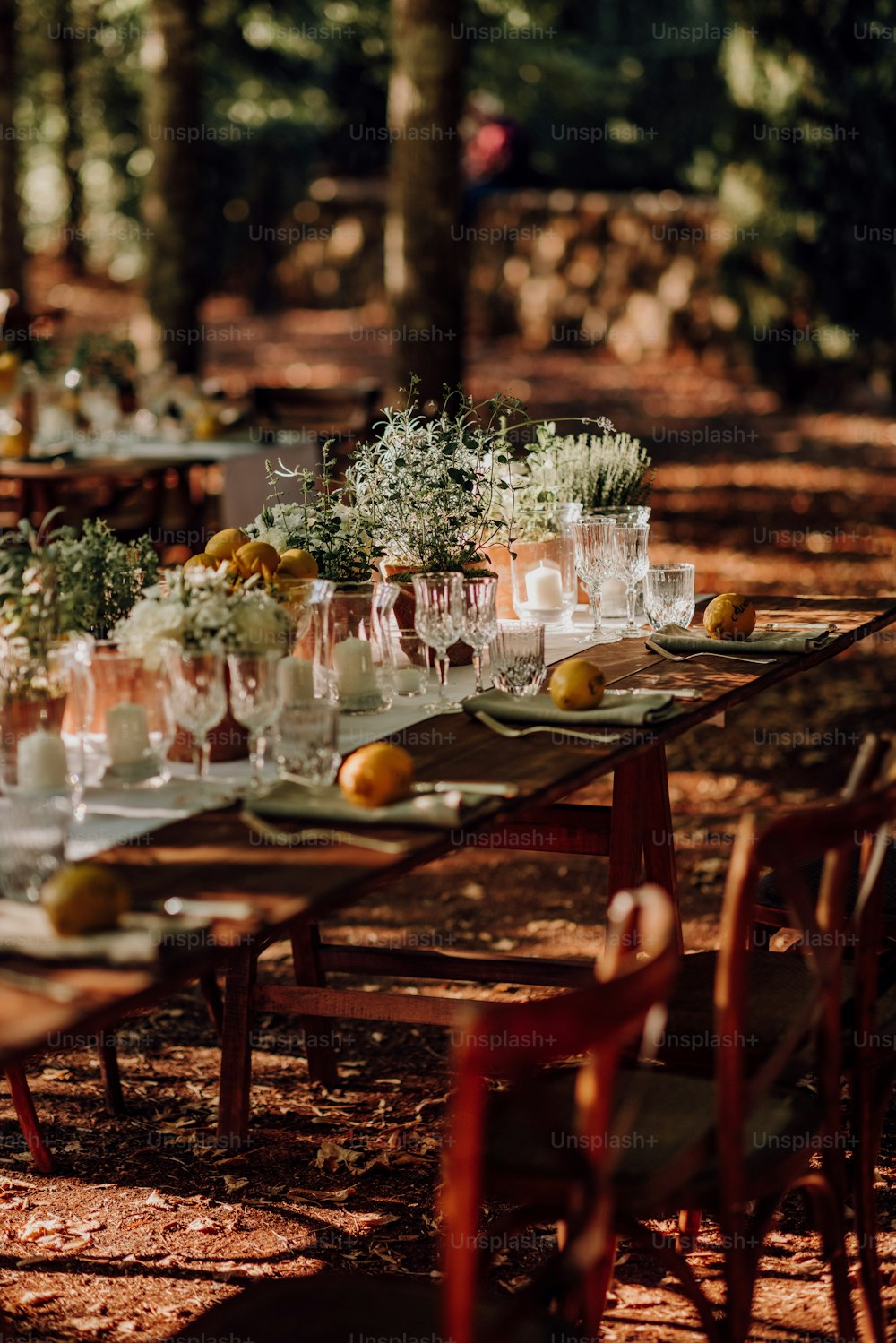 a long table is set up in the woods