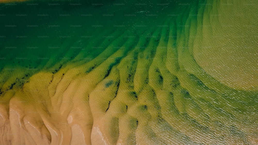 Eine Luftaufnahme eines Sandstrandes mit grünem Wasser