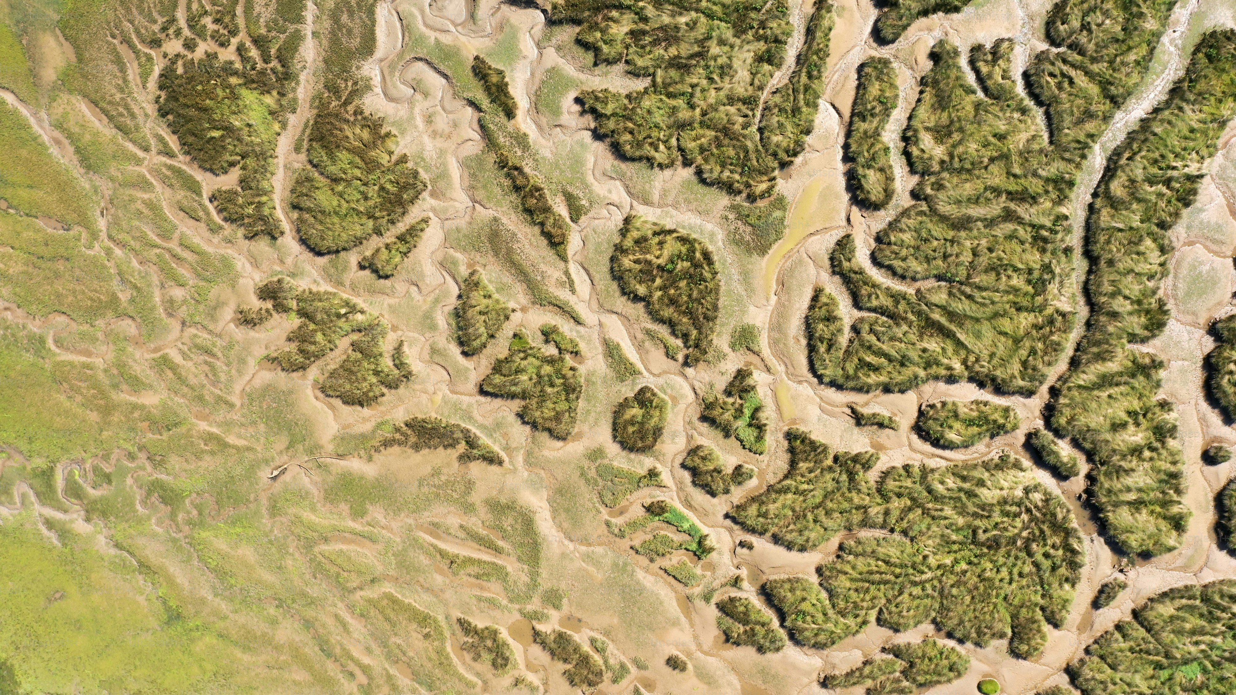 eine Luftaufnahme einer Rasenfläche mit Bäumen