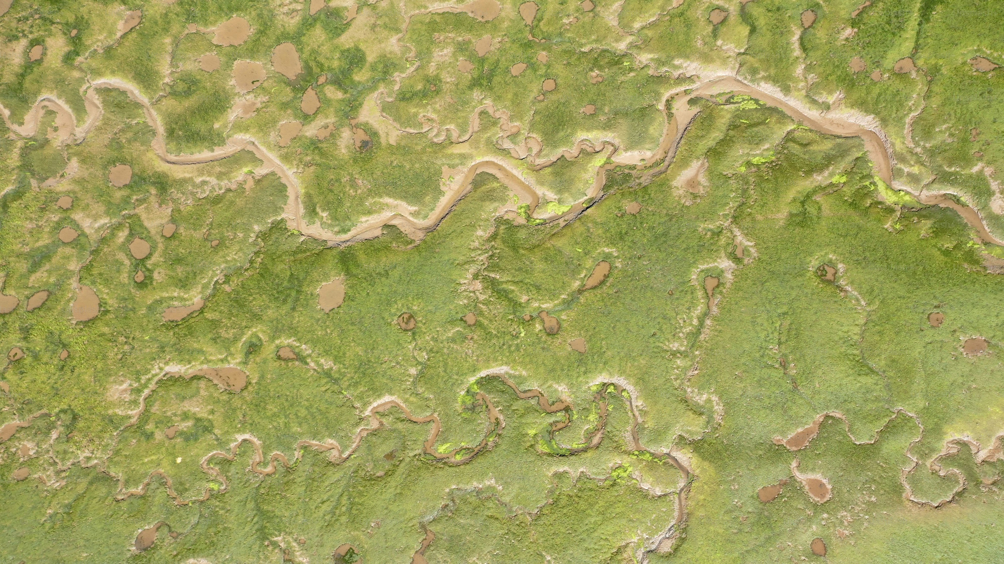 una veduta aerea di un'area erbosa attraversata da un fiume