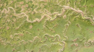 an aerial view of a grassy area with a river running through it