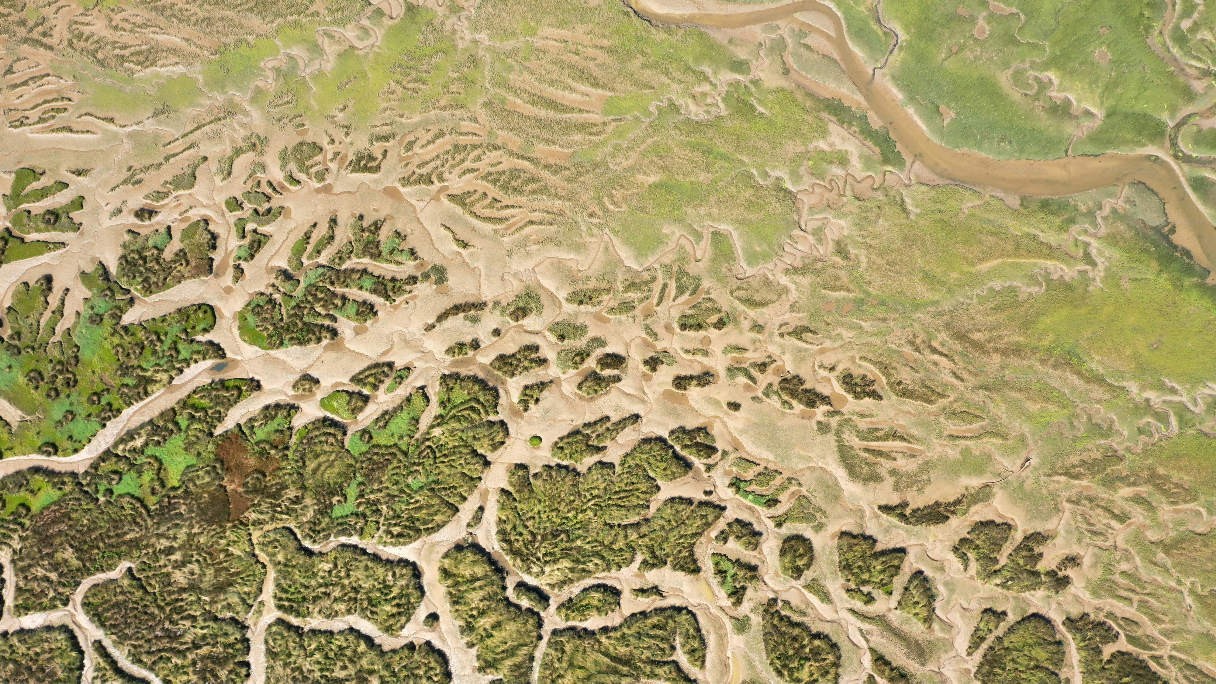 an aerial view of a river running through a forest