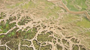 Eine Luftaufnahme eines Flusses, der durch einen Wald fließt