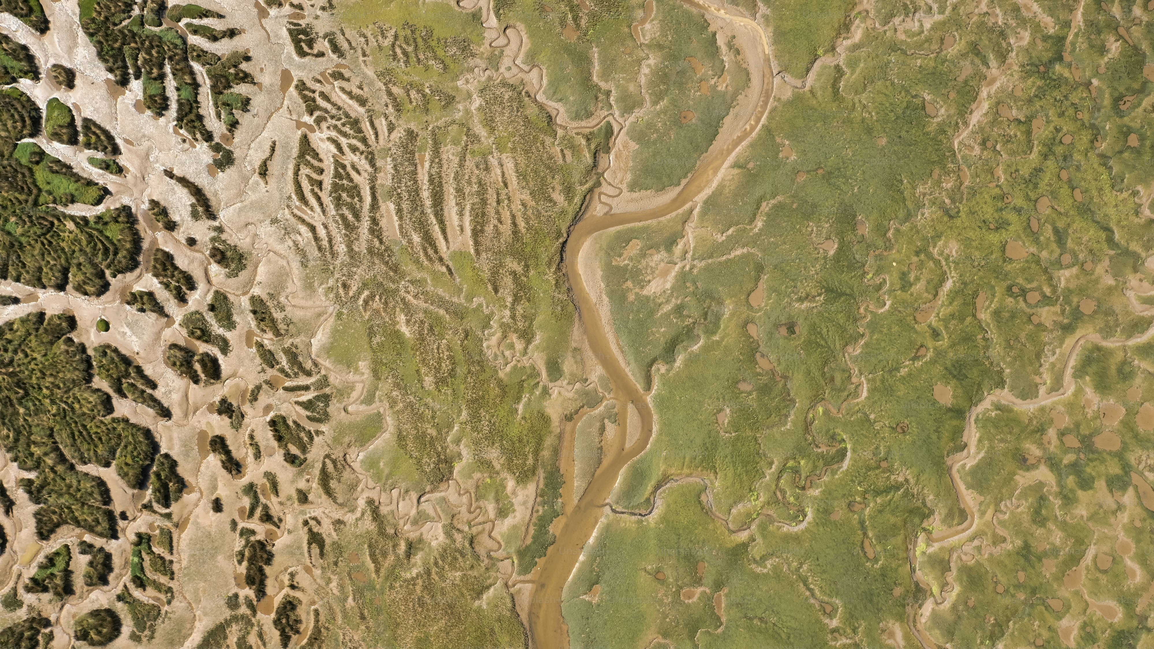 uma vista aérea de um rio que corre através de um campo verde exuberante