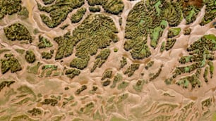 an aerial view of a forested area with trees