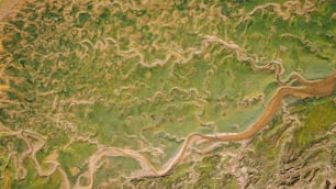 Una vista aérea de un río que atraviesa un exuberante campo verde