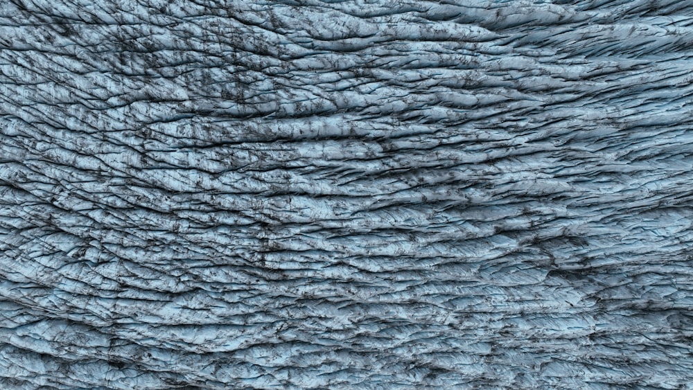 the texture of an elephant's skin is blue