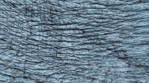 the texture of an elephant's skin is blue