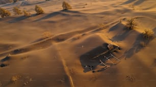 a hut in the middle of a desert