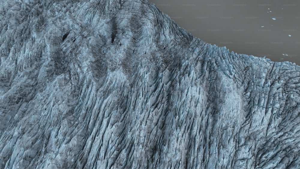 a very large glacier wall with a bird flying over it