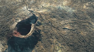 穴の開いた木の幹の航空写真