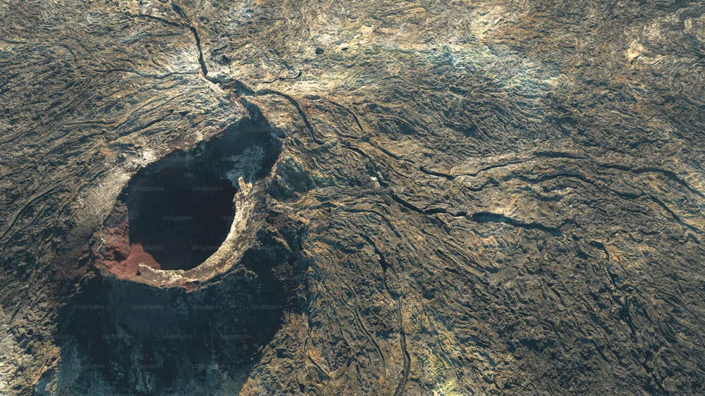an aerial view of a tree trunk with a hole in it