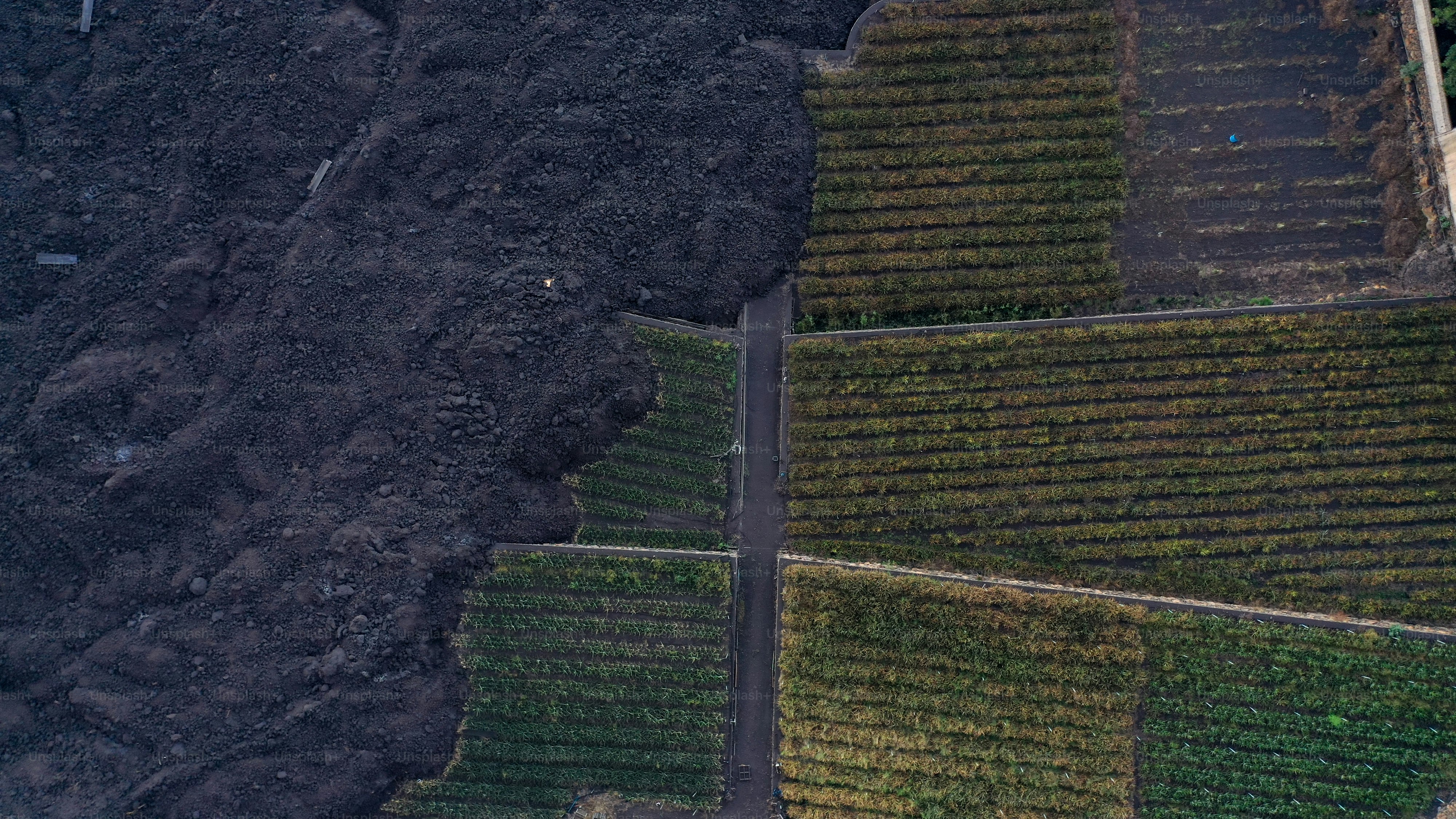 Eine Luftaufnahme einer unbefestigten Straße, die von Bäumen umgeben ist