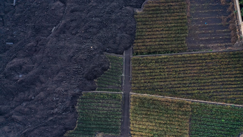 Vista aérea de uma estrada de terra cercada por árvores