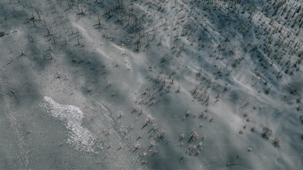 Eine Luftaufnahme eines schneebedeckten Feldes