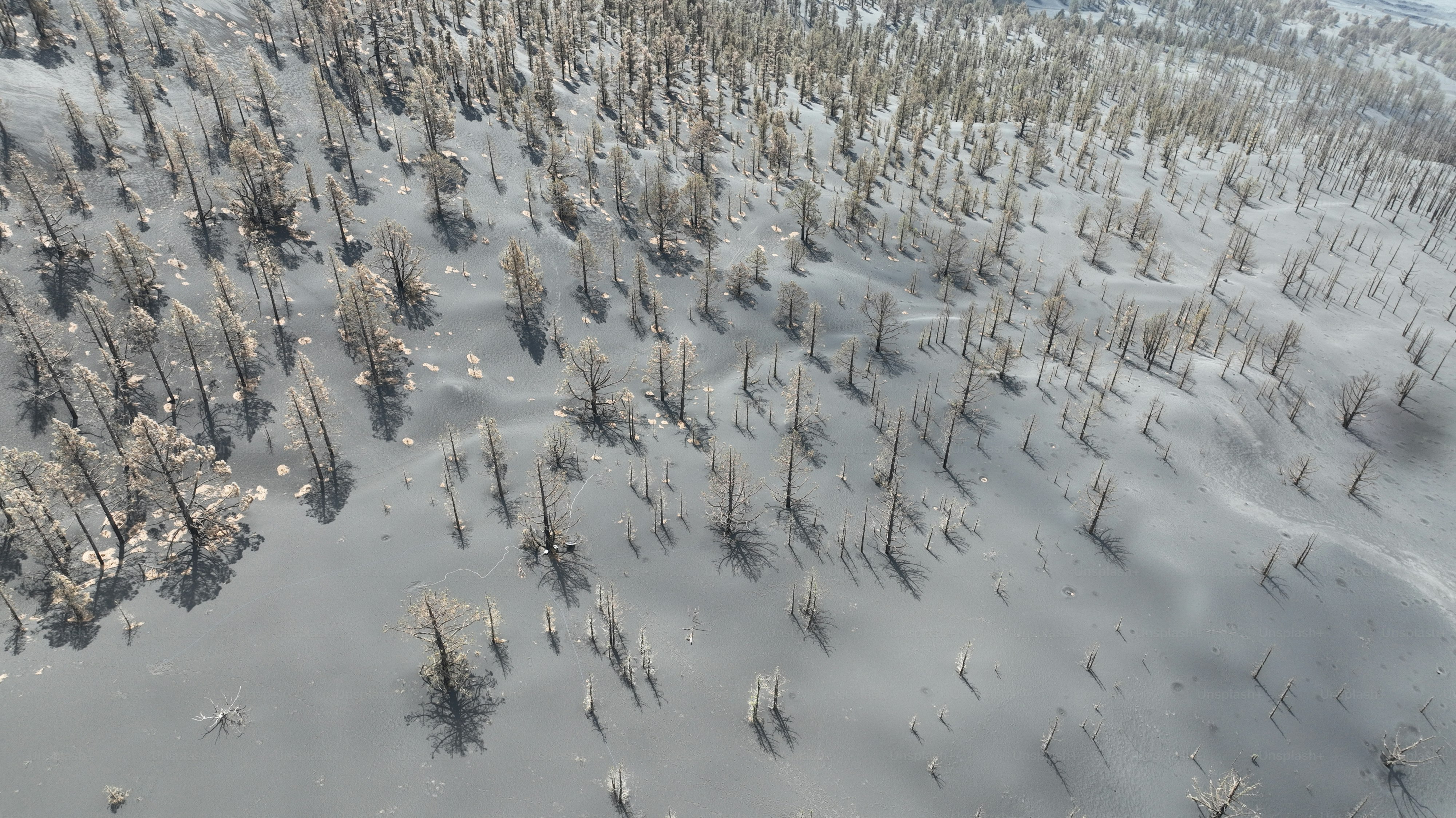 an aerial view of a snow covered forest