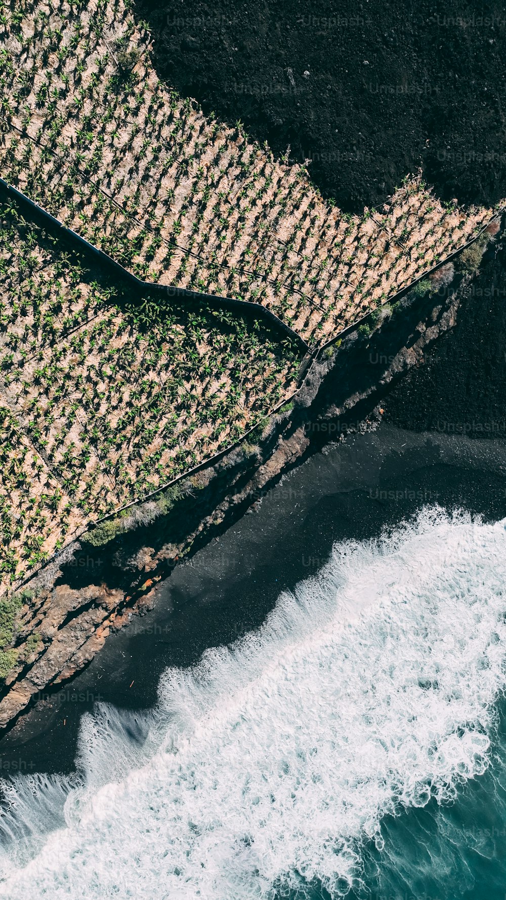 a bird's eye view of the ocean and land