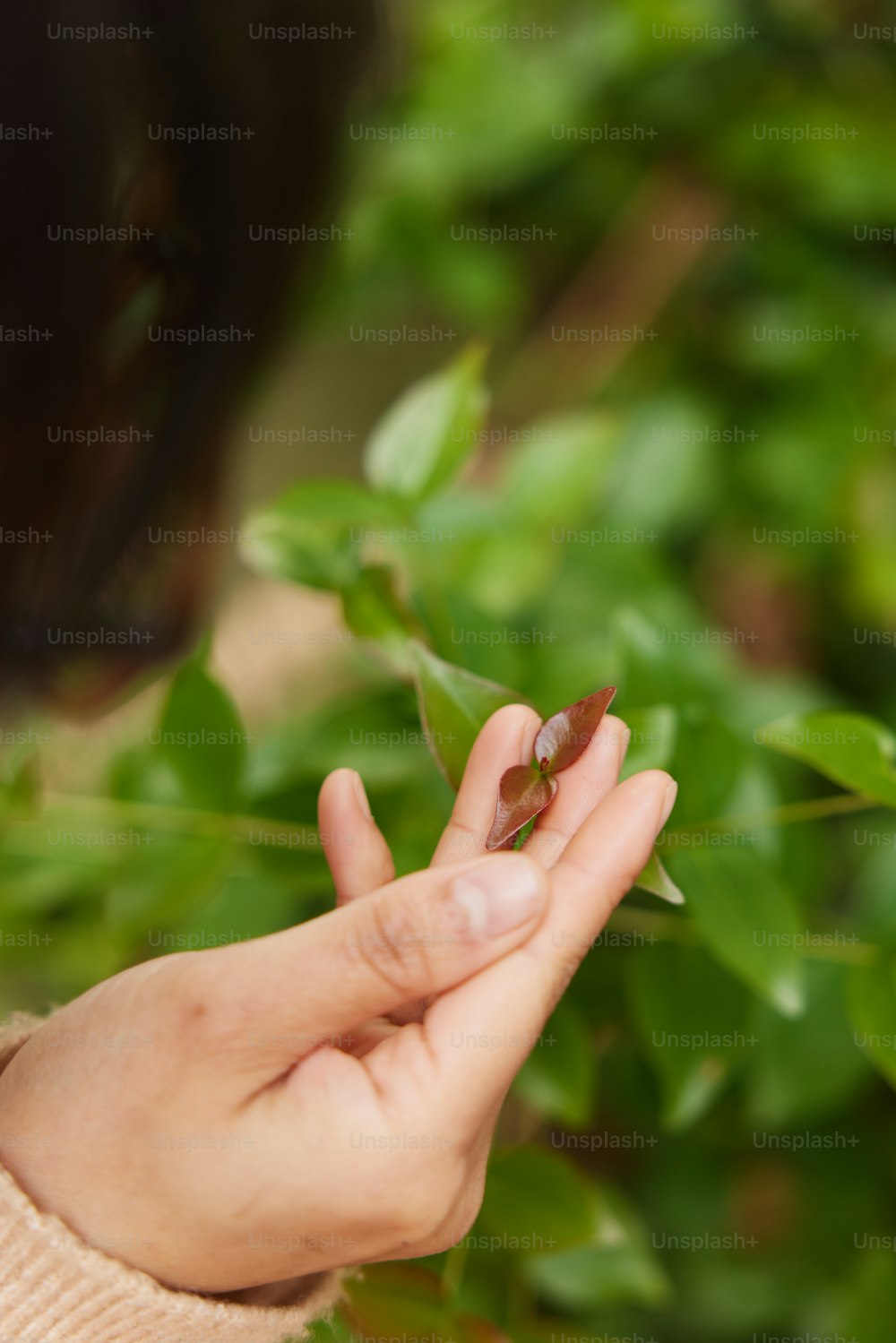 Eine Frau hält einen winzigen Vogel in der Hand