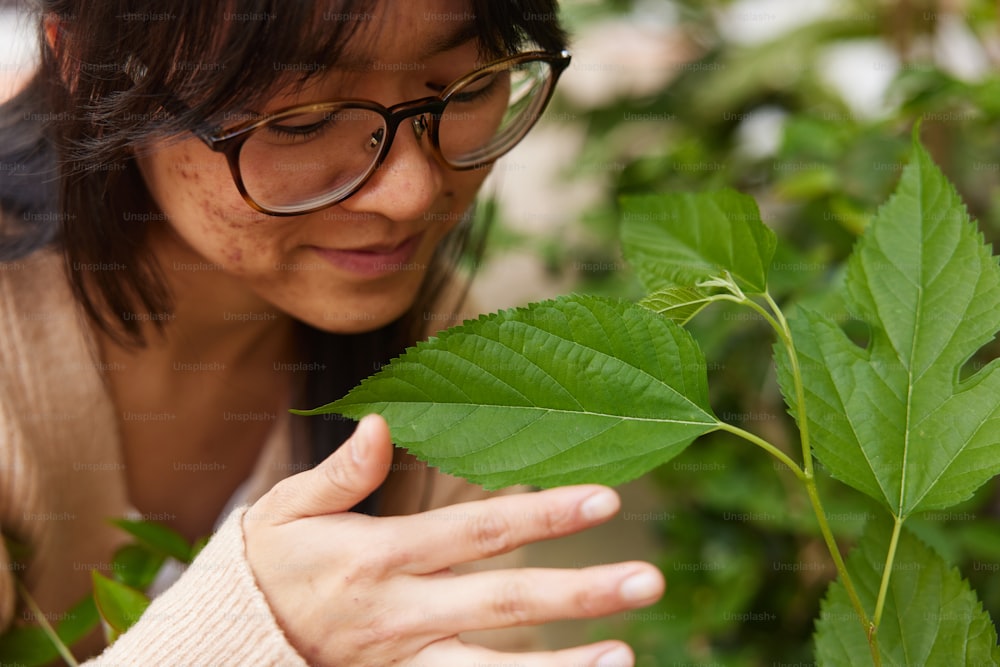Eine Frau mit Brille untersucht ein grünes Blatt