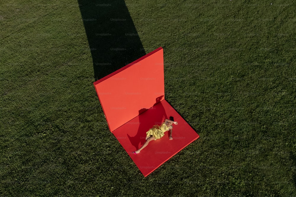 a dog laying in a red box in the grass