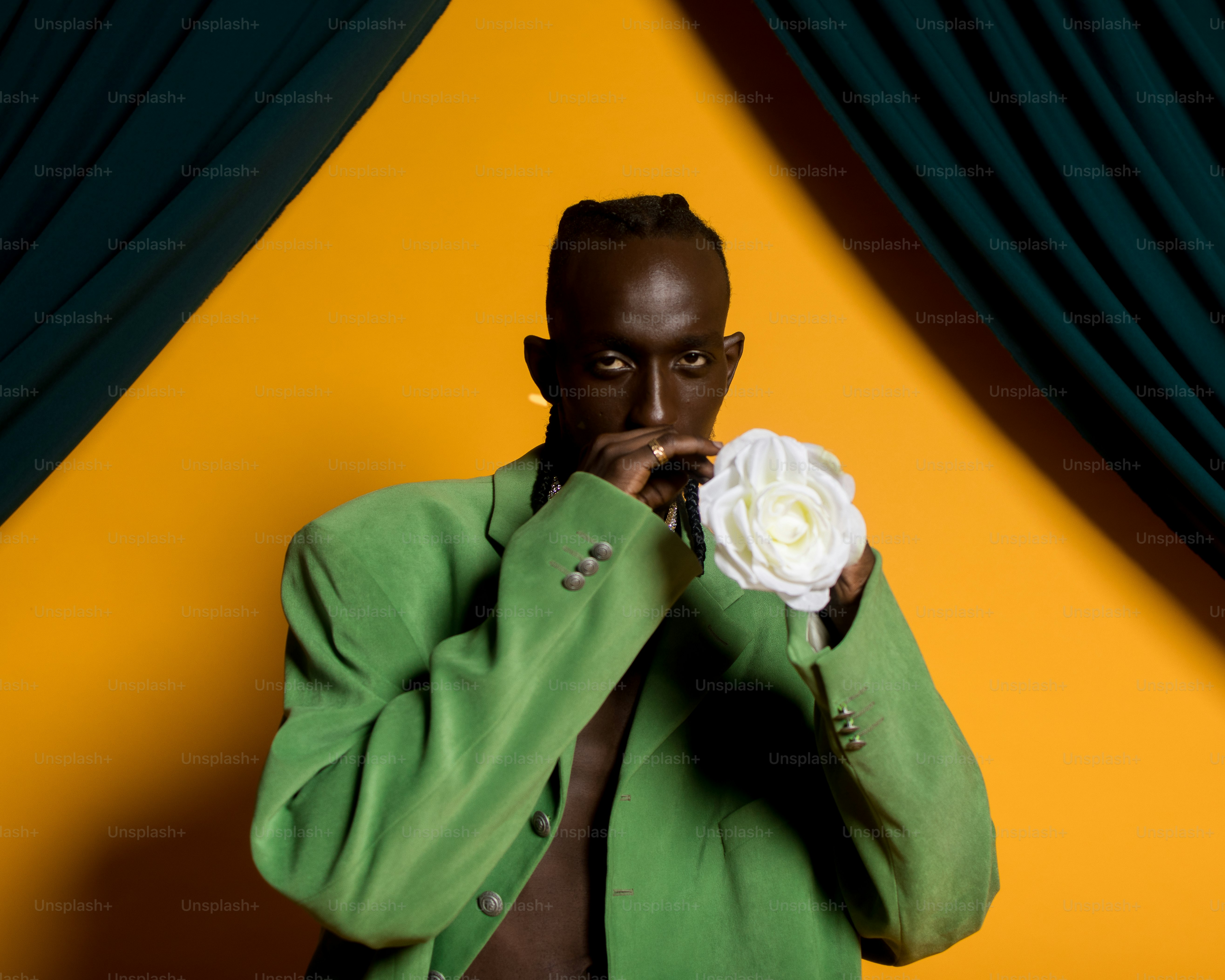 Black Roses Pictures | Download Free Images on Unsplash