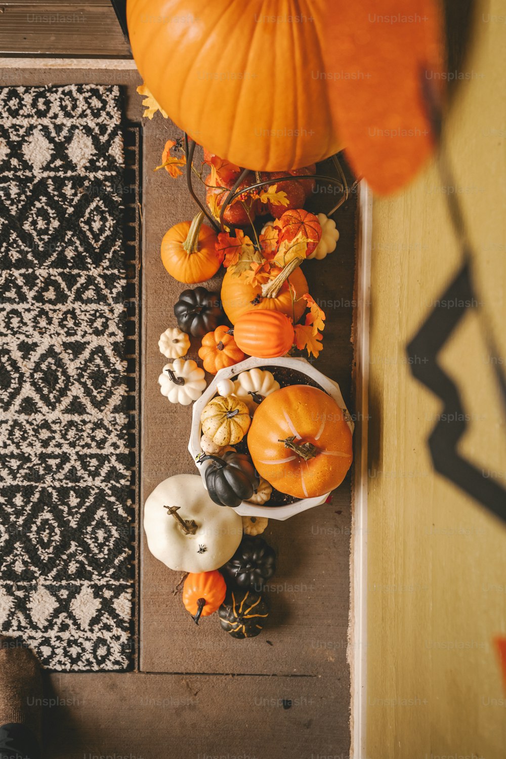 a group of pumpkins sitting on top of a rug