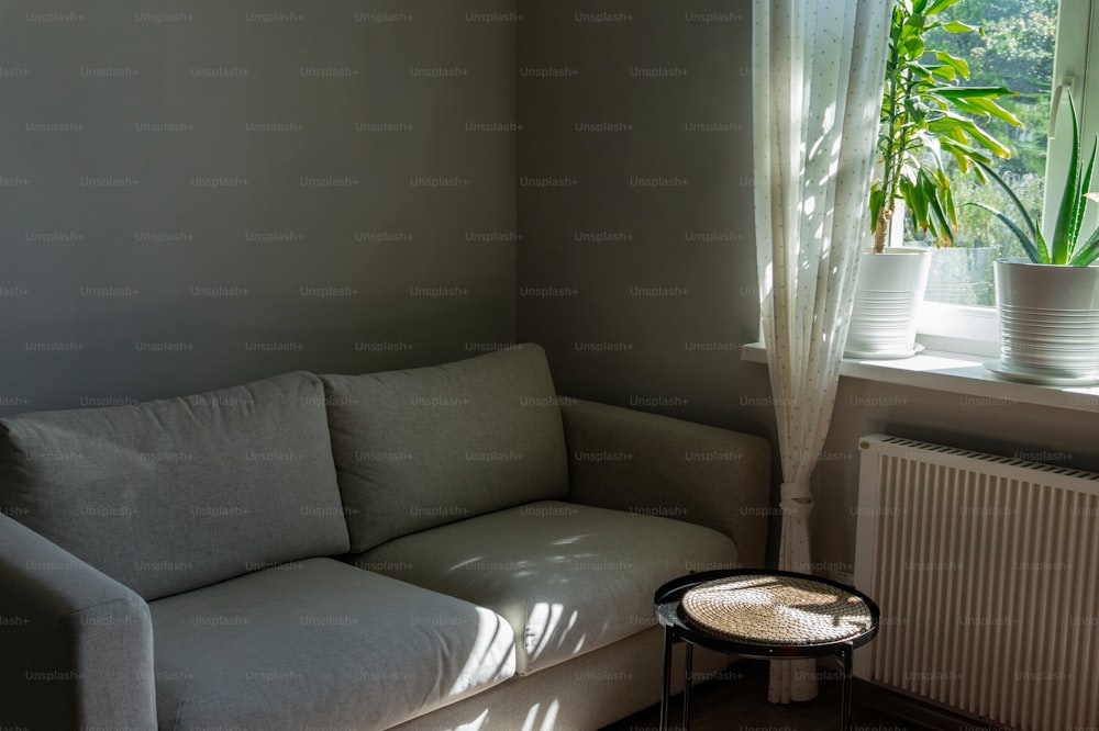 Un sofá blanco sentado junto a una ventana en una sala de estar