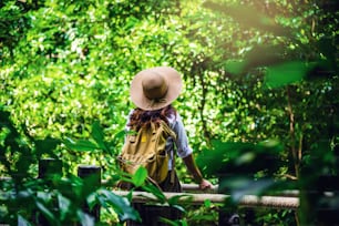Las mujeres viajan, se relajan, la naturaleza en las vacaciones. Estudio de la naturaleza en el bosque. La niña feliz caminando y disfrutando del turismo a través del bosque de manglares. Cascada que el sendero natural de Bok Khorani. Viajes, mochilas.