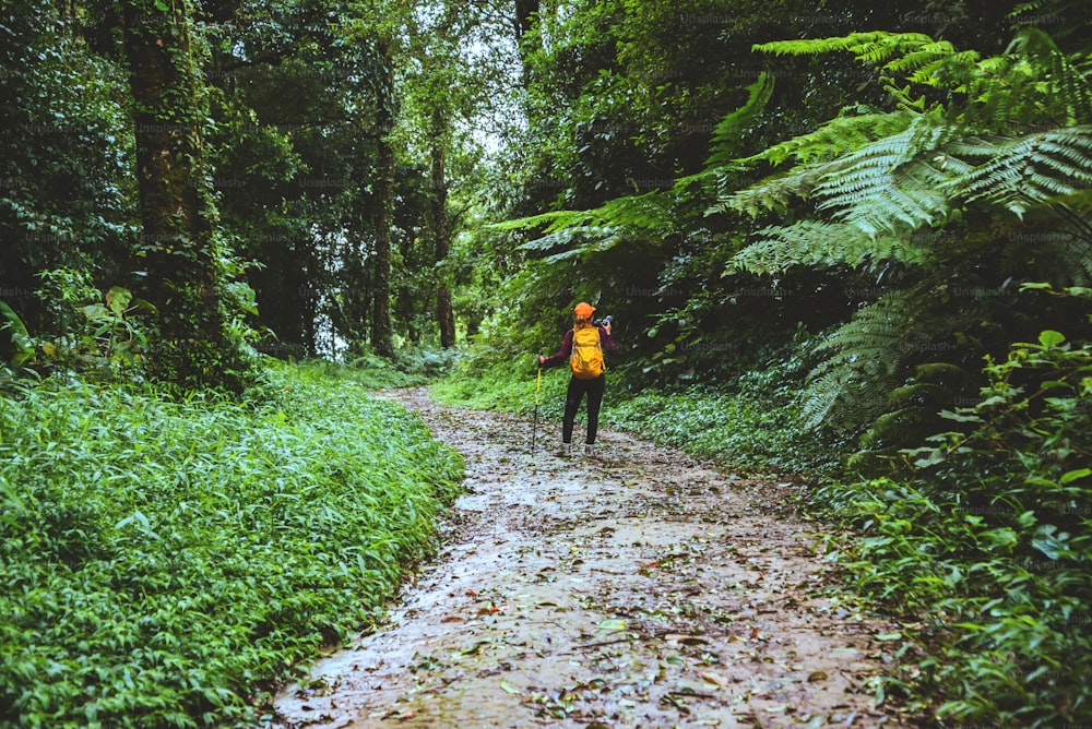 Fotógrafa mujer asiática. Fotografía viajera Naturaleza. Viaje Relájese en el paseo de vacaciones por el bosque.